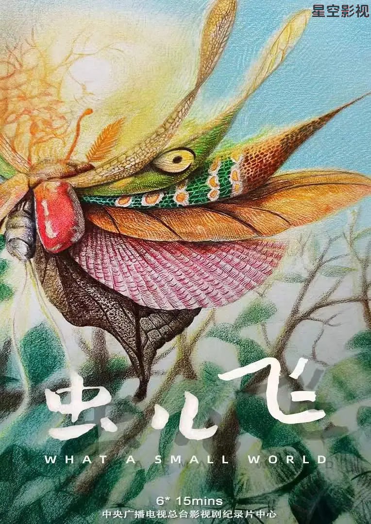 虫儿飞